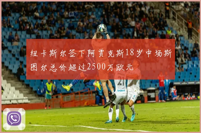 纽卡斯尔签下阿贾克斯18岁中场斯图尔总价超过2500万欧元